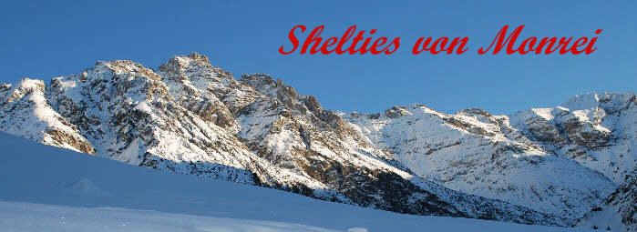 Banner Shelties von Monrei