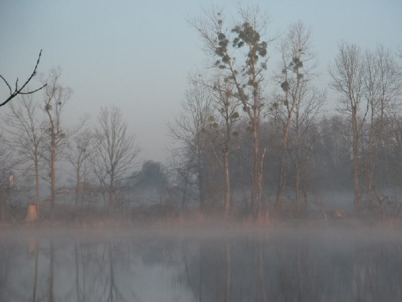Morgenstimmung am Happinger See