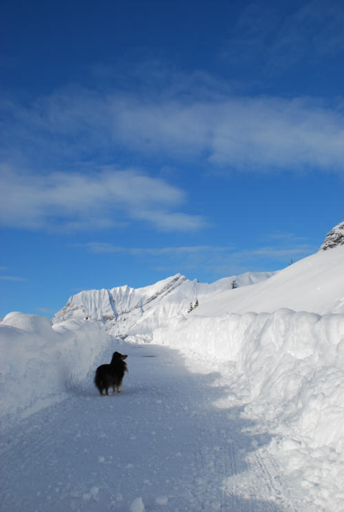 Winter in den Bergen