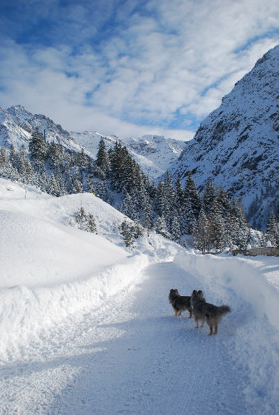 Winter in den Bergen