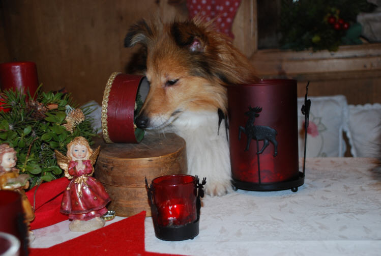 Emily mit der Weihnachtskrippe