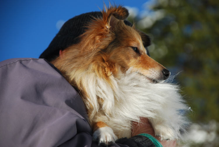 Emily mit ihrem gro&szlig;en Freund