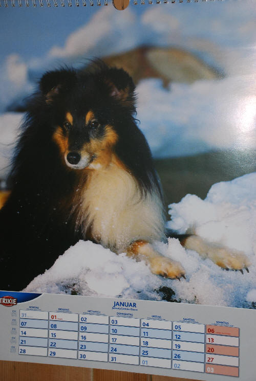 Captain Jamie von Monrei auf dem Hundekalender 2013