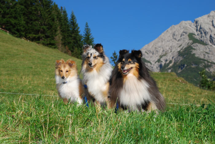 Emily, Julie und Marilyn