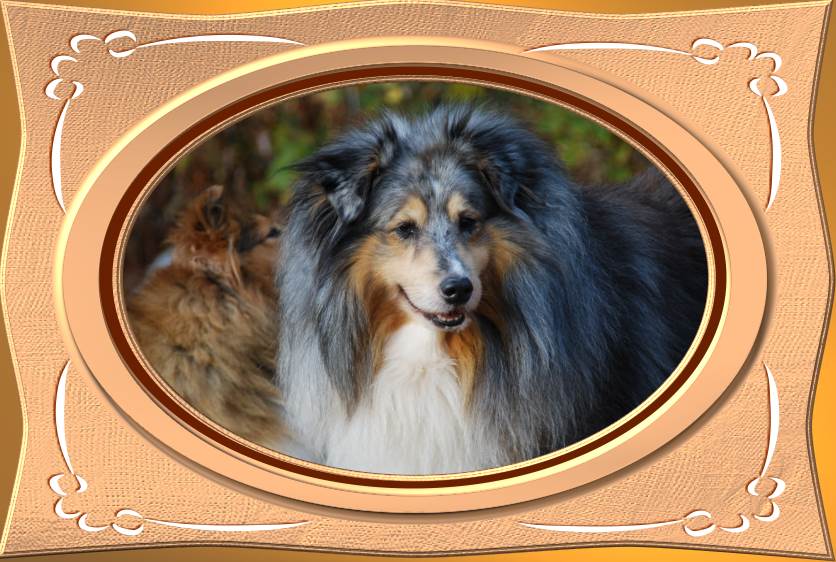 Romeo