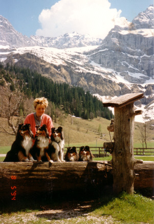 Shelties von Monrei in den bayerischen Alpen