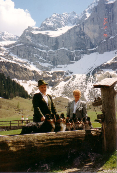 Monrei-Shelties in den Alpen