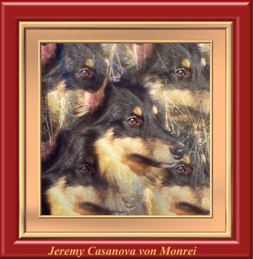 Jeremy Casanova von Monrei - Camillo -