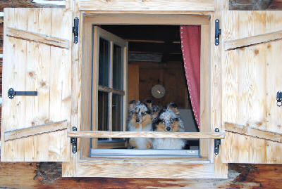 Julie und Joanne schauen aus dem Fenster