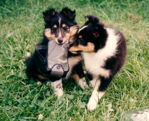 Arina und Annabel von Monrei