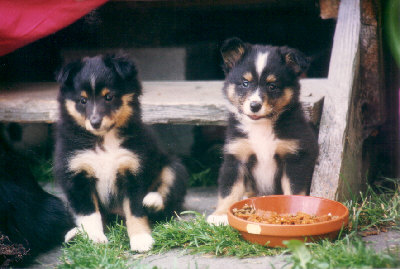 Belinda und Benjamin von Monrei